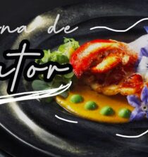 Descubre la cocina de autor y la alta gastronomía con los mejores chefs de España