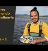 Déjate llevar por la cocina étnica y explora los sabores del mundo en tu propia cocina