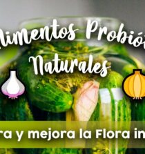 Descubre cómo la fermentación y preparación de alimentos probióticos te puede ayudar a mejorar tu salud