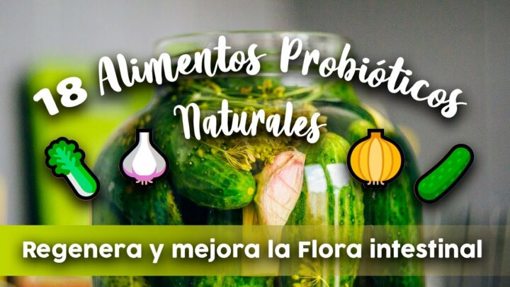 Descubre cómo la fermentación y preparación de alimentos probióticos te puede ayudar a mejorar tu salud