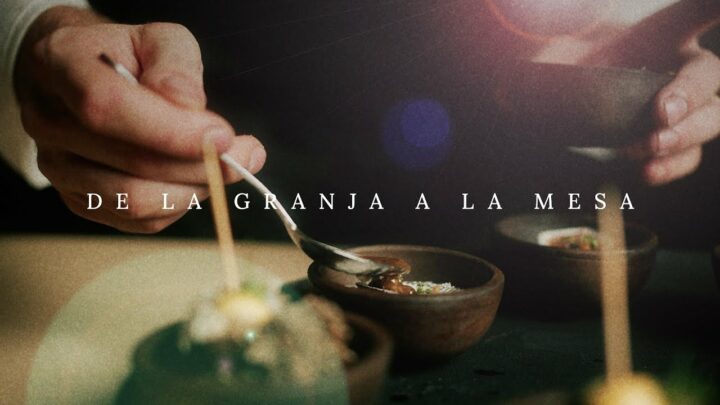 Descubre cómo cocinar deliciosos platillos con productos locales y de granja