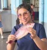 Descubre los mejores mariscos y pescados frescos: ¡Calidad y frescura garantizada!