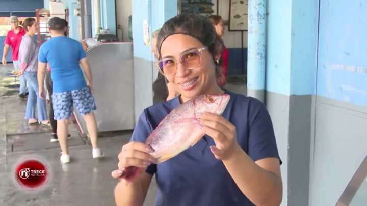 Descubre los mejores mariscos y pescados frescos: ¡Calidad y frescura garantizada!
