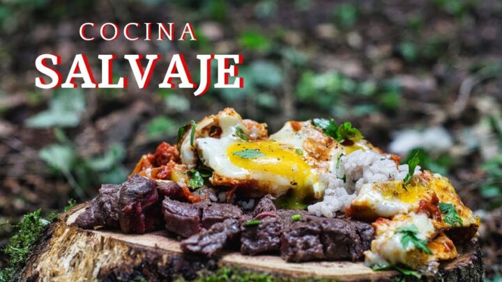 Descubre cómo disfrutar de la cocina al estilo campamento y comida al aire libre